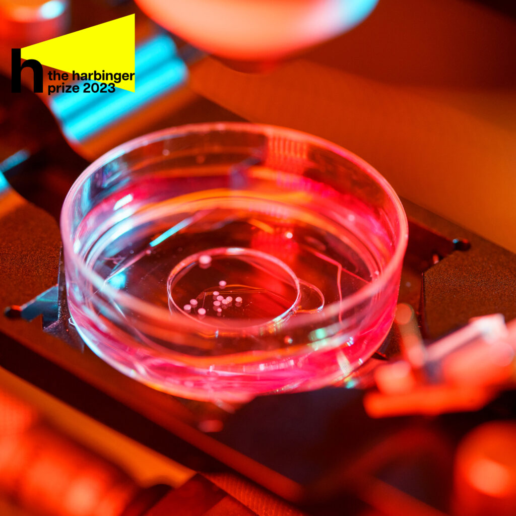 Brains grown in a petri dish. On the potential of organoid intelligence